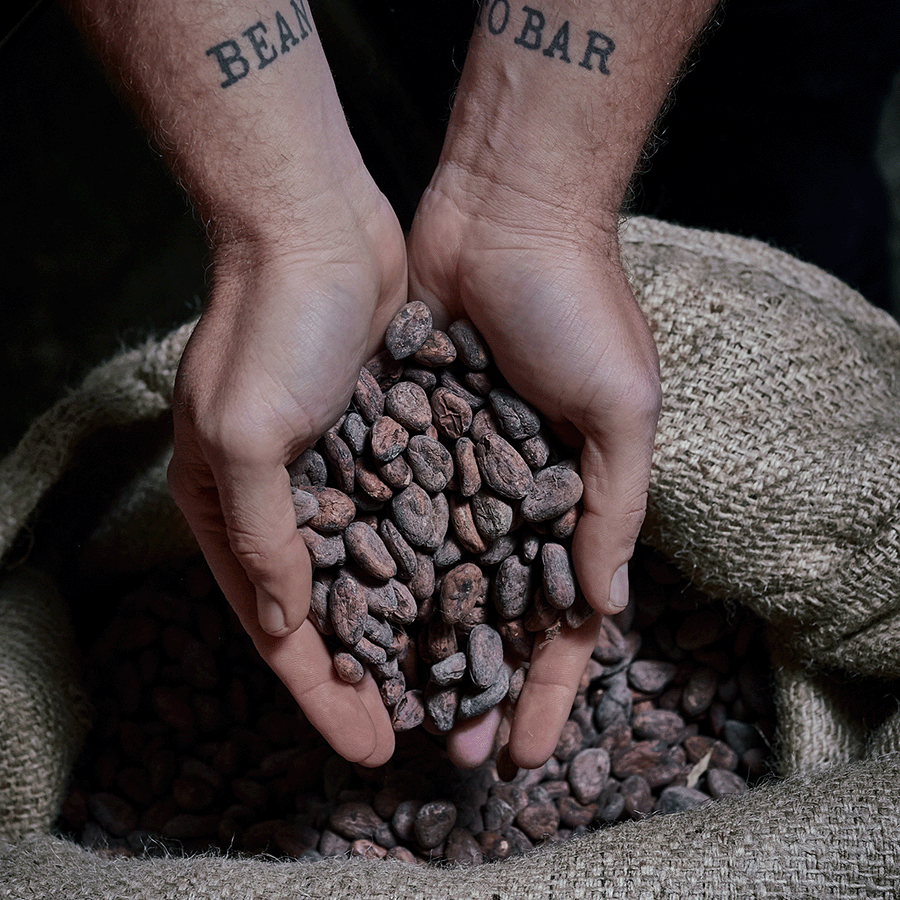Story Bild Beans