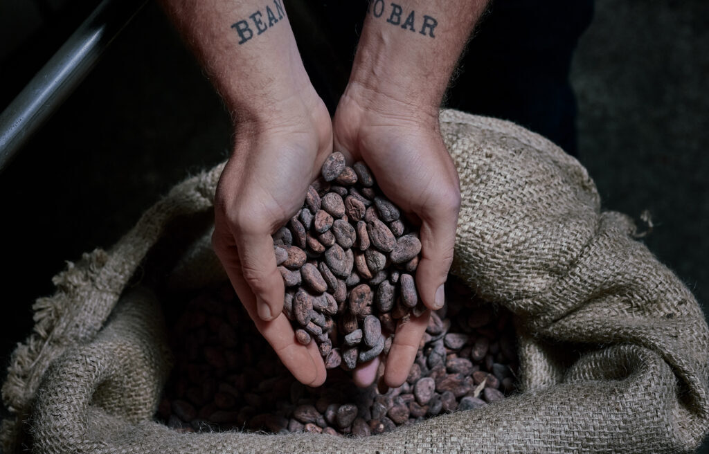 Story Bild Beans 1024x656